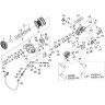 Катушка DAIWA 18 Regal LT 3000D-C-XH 10116-306